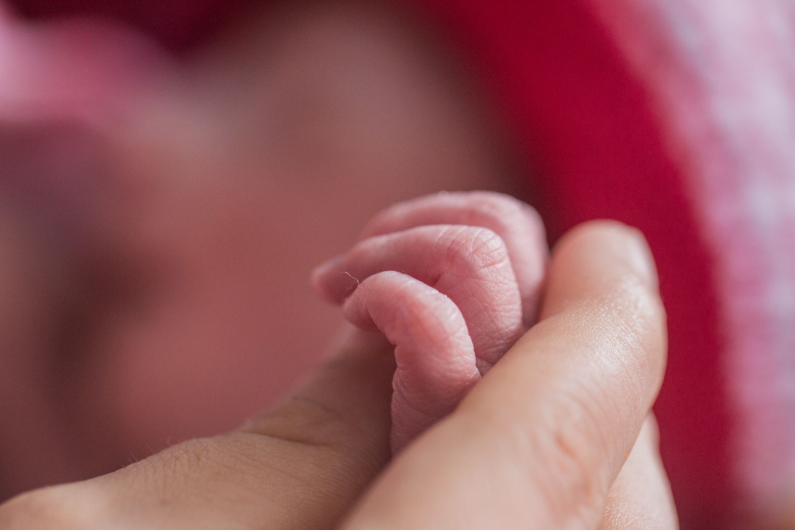 Huggies® Celebra El Día Mundial De La Salud 2025 Reafirmando Su Compromiso Con La Primera Infancia